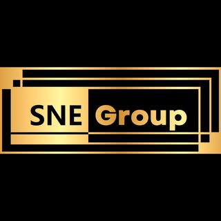 sNEGroup USA remodeling